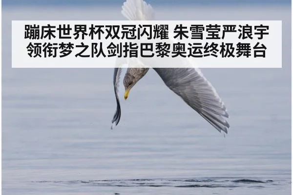 蹦床世界杯双冠闪耀 朱雪莹严浪宇领衔梦之队剑指巴黎奥运终极舞台